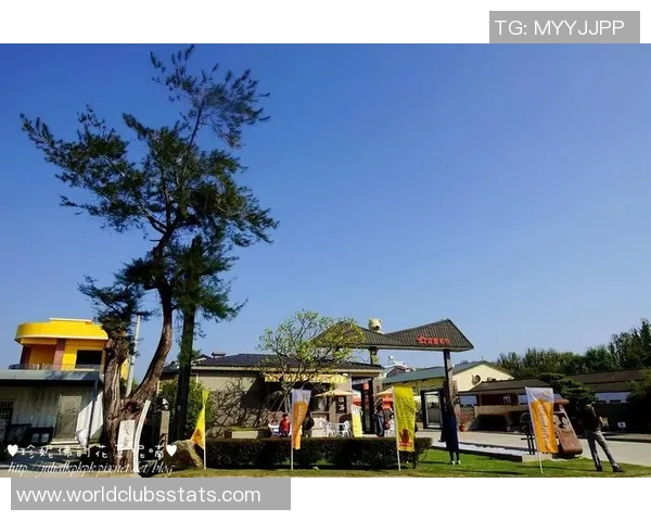 张宁的奋斗之路：从平凡到卓越的成长故事与人生启示